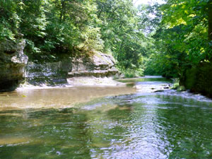 Fall Creek Gorge State Park - Potholes