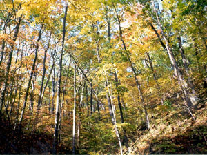 Happy Hollow State Park