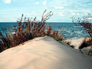 Indiana Dunes National Lakeshore