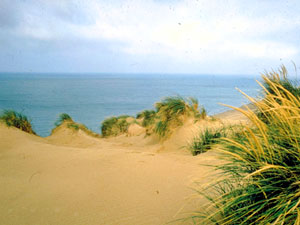 Indiana Dunes National Lakeshore