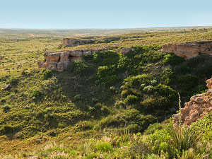 Cimarron National Grassland