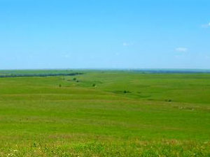 Tall Grass Prairie National Preserve