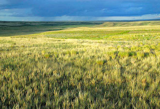 Kansas prairie landscape