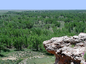 Cimarron National Grassland