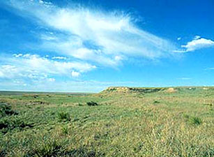 Cimarron National Grassland