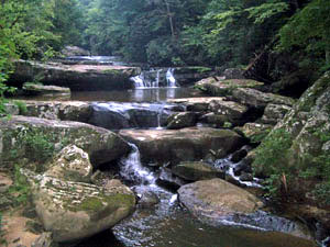 Bark Camp Creek