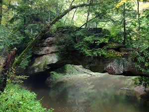 Daniel Boone National Forest