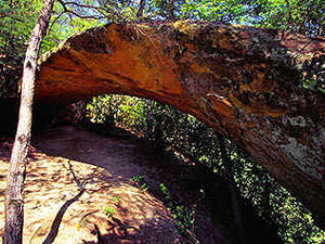 Daniel Boone National Forest