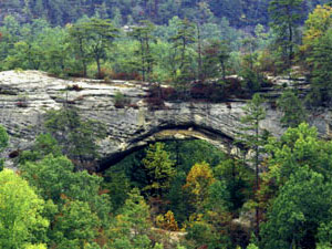 Daniel Boone National Forest - natural arch