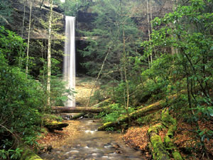 Daniel Boone National Forest - Yahoo Falls