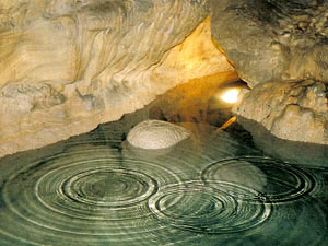 Mammoth Cave National Park