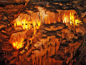 Mammoth Cave National Park