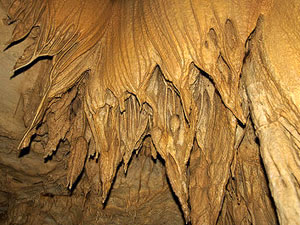 Mammoth Cave National Park