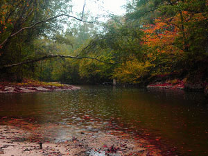 Louisiana Nature Preserve