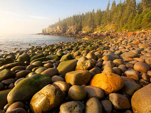 Acadia National Park