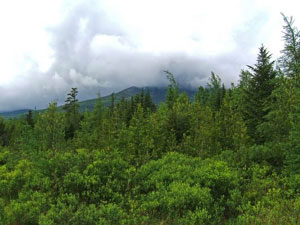 Baxter State Park