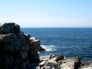 Cutler Coast