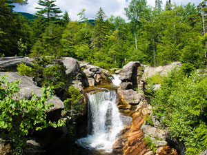 Grofton Notch State Park - Screw Auger Falls