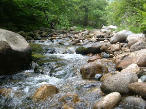 Grofton Notch State Park