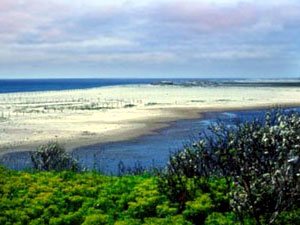 Cape Cod National Seashore - Coast Guard Beach