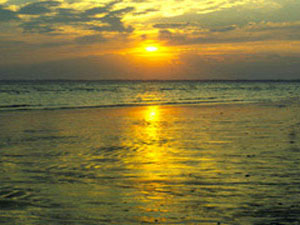 Cape Cod National Seashore