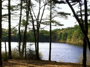 Massasoit State Park