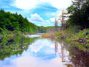 Mount Everett Guilder Pond