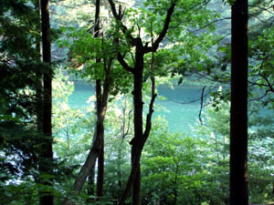 Walden Pond