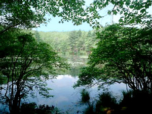 Walden Pond