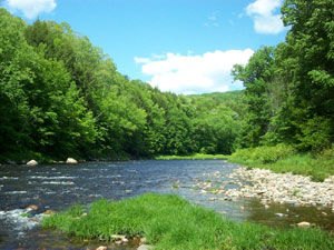 Westfield River