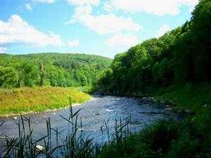 Westfield River