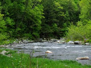 Westfield River - East Branch