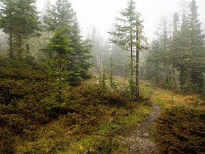 Isle Royale National Park