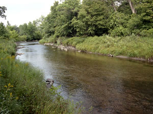 Buffalo River State Park