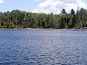 Rainy Lake State Park