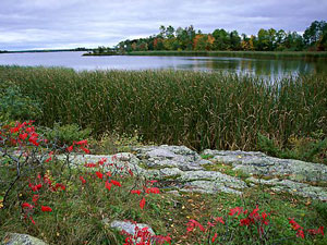 Voyageurs National Park