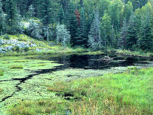 Voyageurs National Park