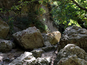 Clark Creek Natural Area