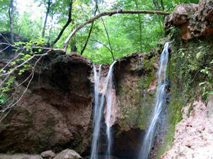 Clark Creek Natural Area