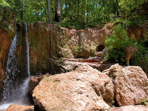 Clark Creek Natural Area