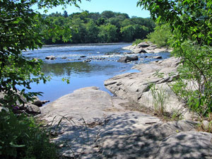 Clark Creek Natural Area