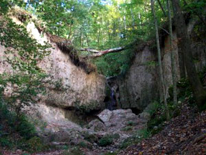 Clark Creek Natural Area