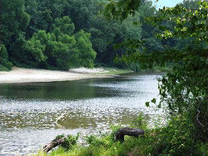 Lafleurs Bluff State Park