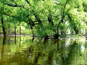 Yazoo Wildlife Refuge