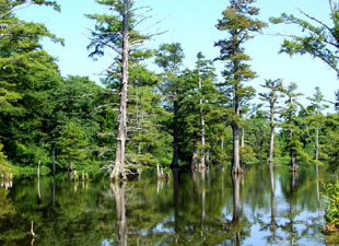 Yazoo Wildlife Refuge