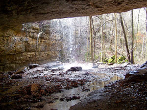 Grand Gulf State Park - Natural Bridge