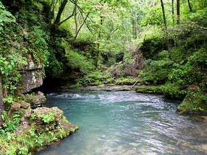 Greer Spring - Eleven Point River