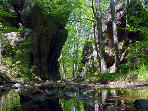 Johnson's Shut-Ins State Park