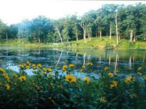 Knob Noster State Park