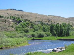 Beaverhead National Forest